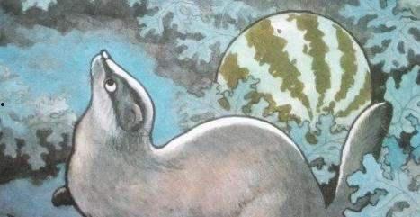 猹怎样吃瓜,揭秘网络热议背后的趣味与真相