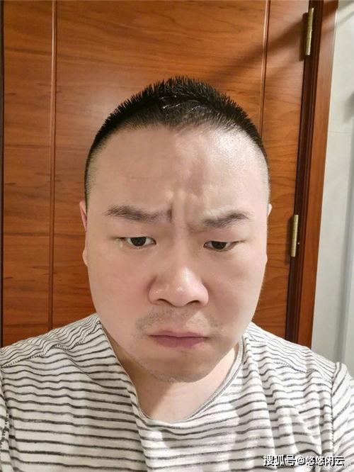 德云社吃瓜表情图,揭秘相声界的“瓜田”风云