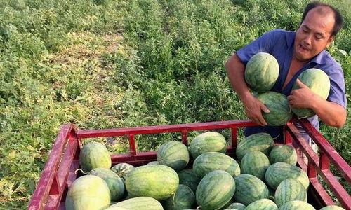 各个年代吃瓜,不同年代的热门话题回顾