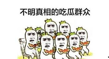 老司机吃瓜群推荐,娱乐圈那些不为人知的幕后故事