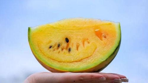 吃瓜吃的是瓜吗,吃的是瓜吗？