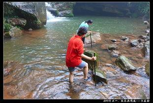 画稿接单吃瓜,吃瓜群众的创意盛宴