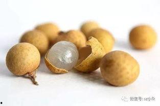 人流后可以吃蒲瓜吗,蒲瓜的营养与恢复作用