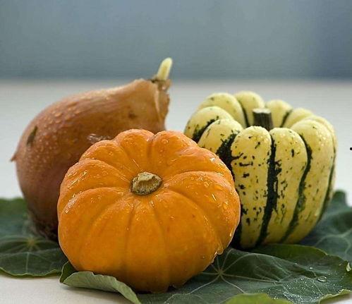 楠瓜吃吗,美味可口的天然美食探索