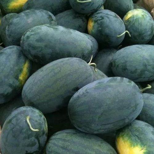 欣月吃瓜,揭秘娱乐圈背后的那些事儿