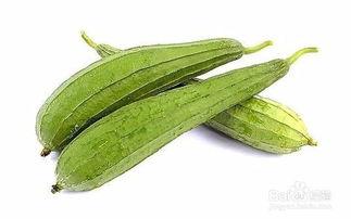 吃角瓜消水肿吗,健康生活新选择