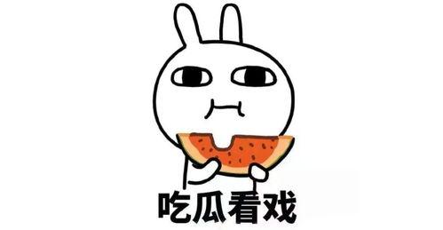 带你吃瓜小号全集,揭秘娱乐圈幕后风云