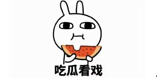 街边吃瓜文案短句,闲话家常