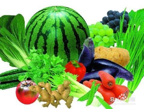 小如如吃瓜,小如如的瓜田奇遇记