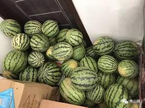 吃瓜大队群,揭秘网络社交圈的趣味与争议