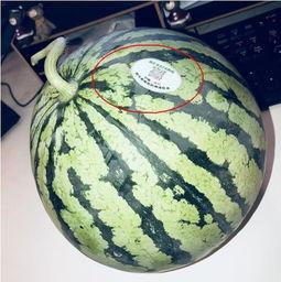 监利网红吃瓜,揭秘网络舆论背后的真相