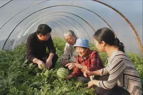 吃瓜六十二,一场关于美食与生活的深度探讨
