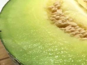 佛山大良吃瓜,夏日吃瓜盛宴，品味传统与现代的交融