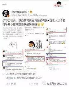 大傻子吃瓜群众,揭秘网络舆论场的众生相