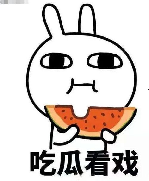 所以吃瓜,揭秘娱乐圈背后的故事