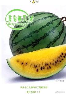 环球吃瓜君,揭秘娱乐圈幕后故事，带你领略明星真实生活