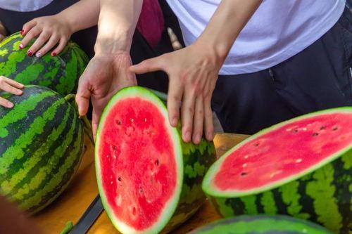 吃瓜组织,网络舆论场中的“瓜农”力量