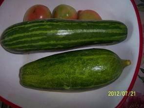 江西鹰潭吃瓜事件视频,一场引发热议的网络狂欢