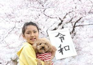 吃瓜群众乔乔,揭秘娱乐圈那些事儿